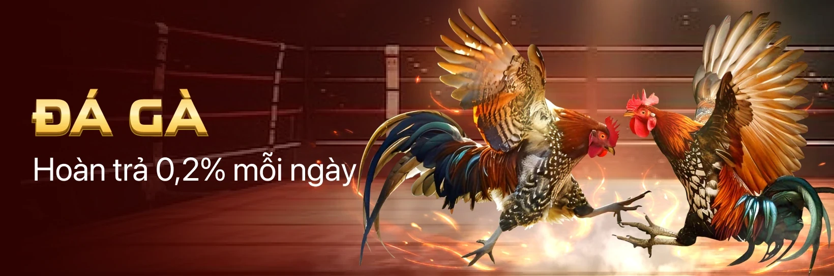 HO88 Cược Đá Gà với ưu đãi hoàn trả lên đến 0.2%, không giới hạn.