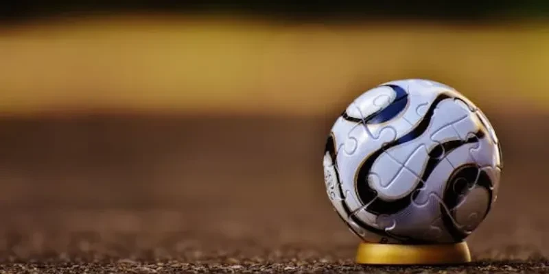 HO88 Bật Mí Các Mẹo Tận Dụng Kèo Rung Trong Cá Cược Live