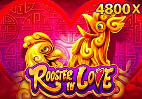 HO88 Rooster In Love
