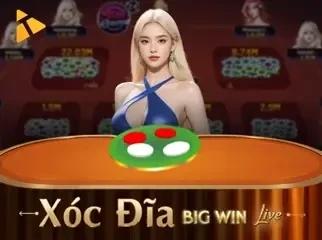 HO88 Xóc Đĩa BigWin