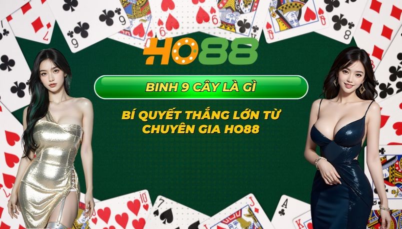 HO88 Binh 9 cây - Bí quyết thắng lớn từ chuyên gia Ho88