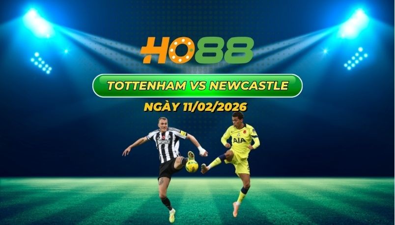 HO88 Nhận định Tottenham vs Newcastle 11/2: Chích chòe săn Gà trống tại London